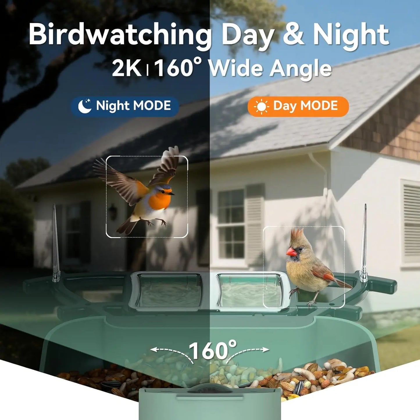 Dual-Lens Bird Feeder With Camera And Bird Bath WiFi 2K