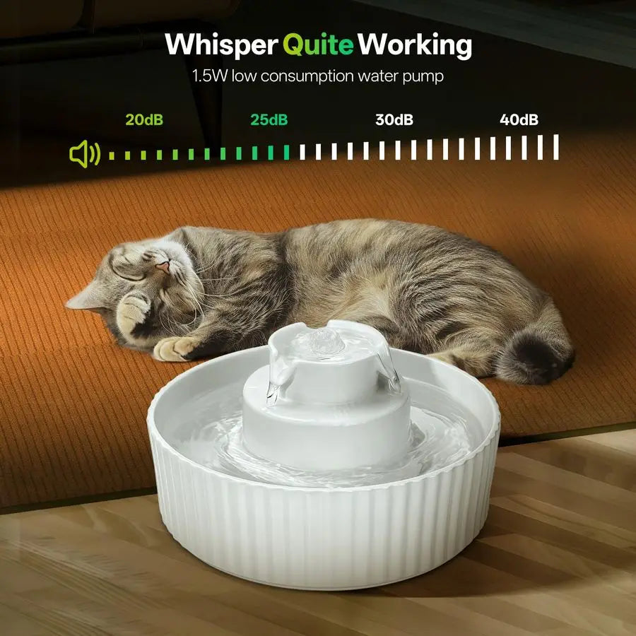 Cat And Dog Water Fountain