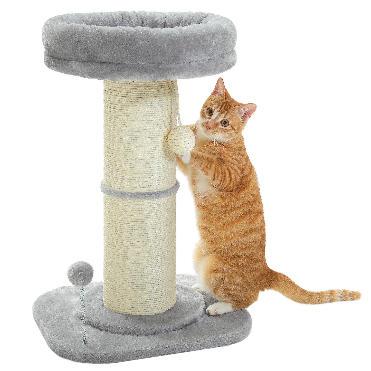 PAWZ Road Flower Cat Tree Scratching Post For Indoor Use