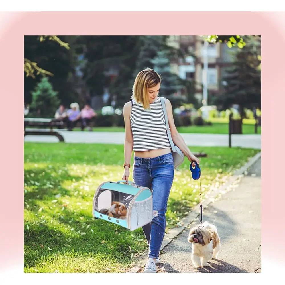 Bearded Dragon Travel Carrier Backpack Space Capsule Bubble Window