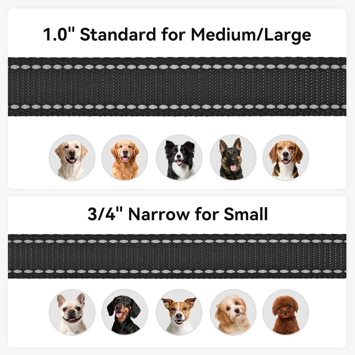 6 FT Double-Sided Reflective Dog Leash with Padded Handle, Heavy Duty Nylon for Medium & Large Dogs, Black