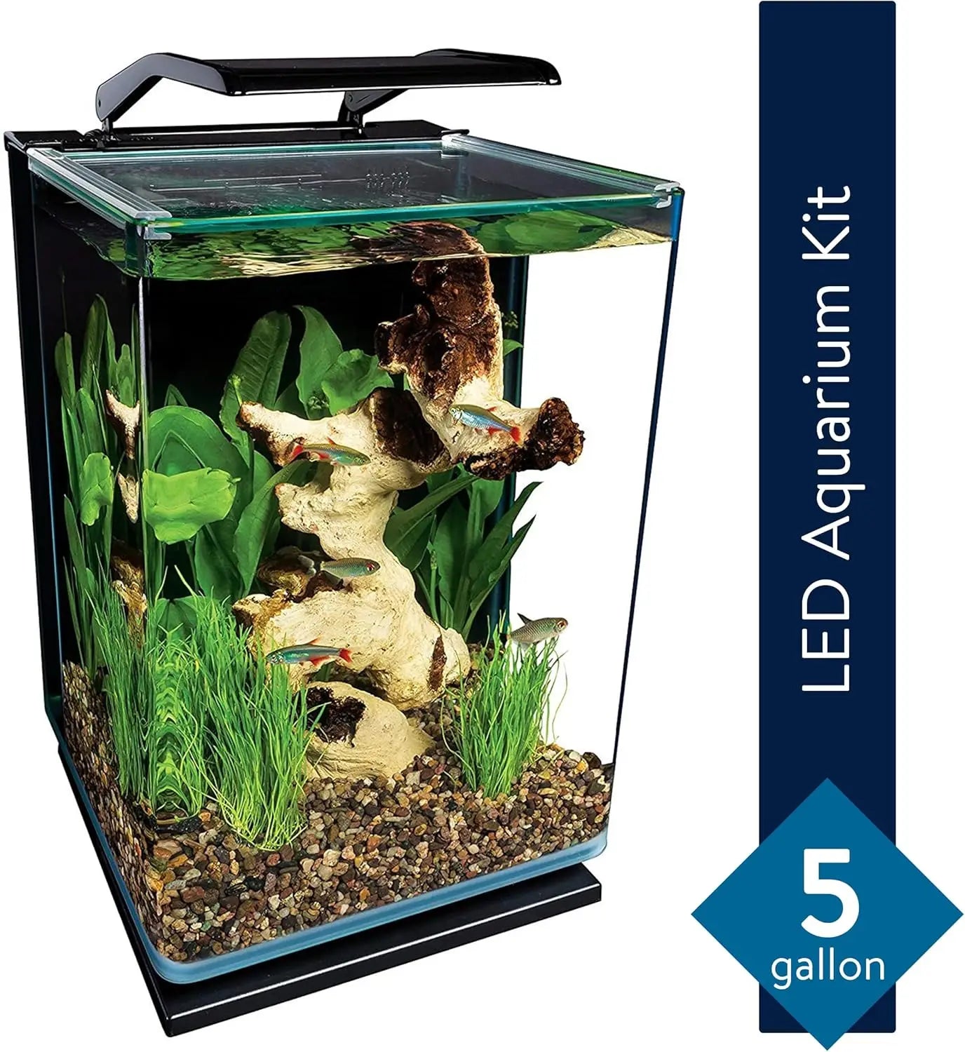 Glass LED Aquarium Kit With Hidden Filtration And Dual Lighting