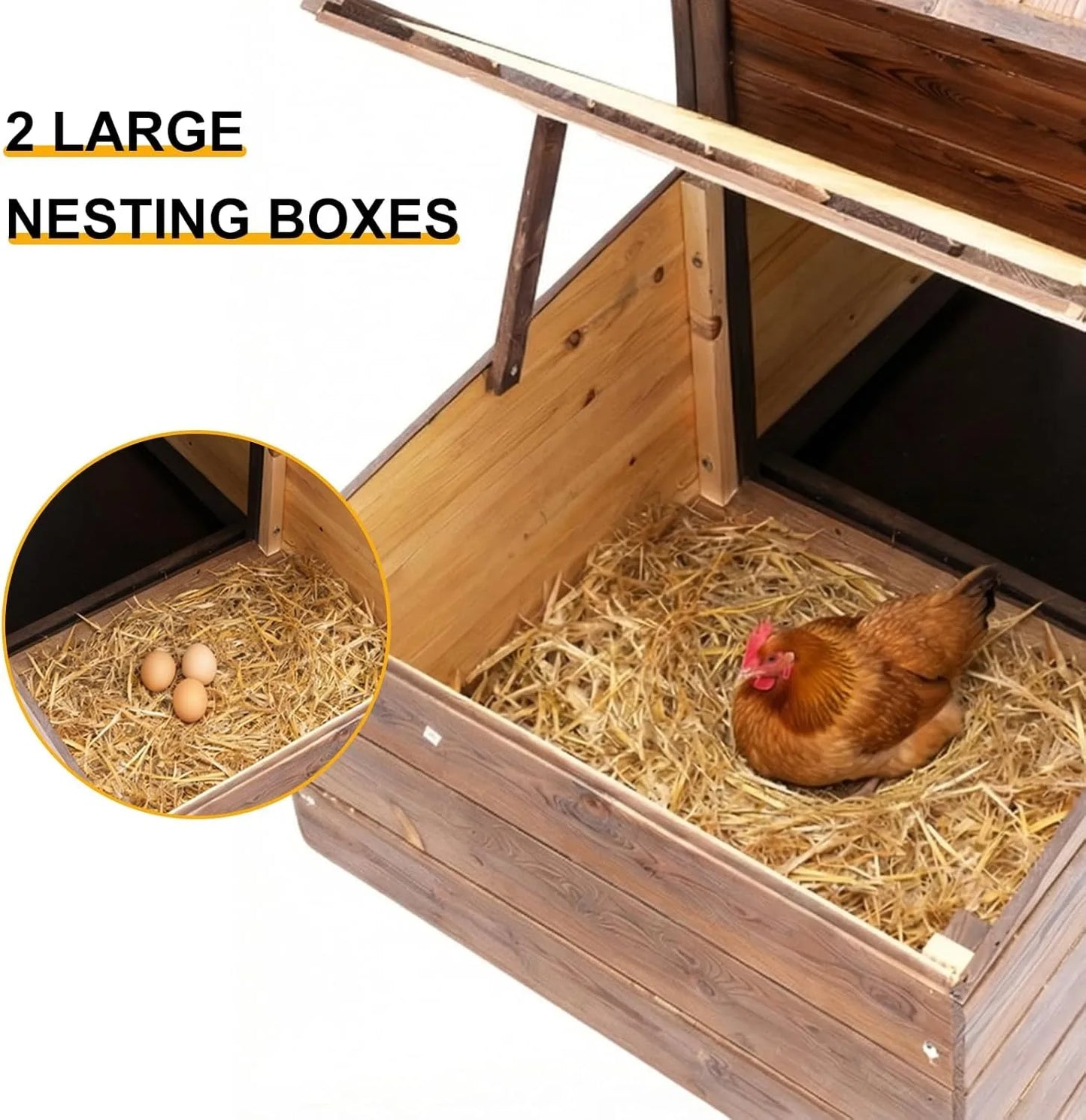 Outdoor Chicken Coop With Nesting Boxes For Two Chickens