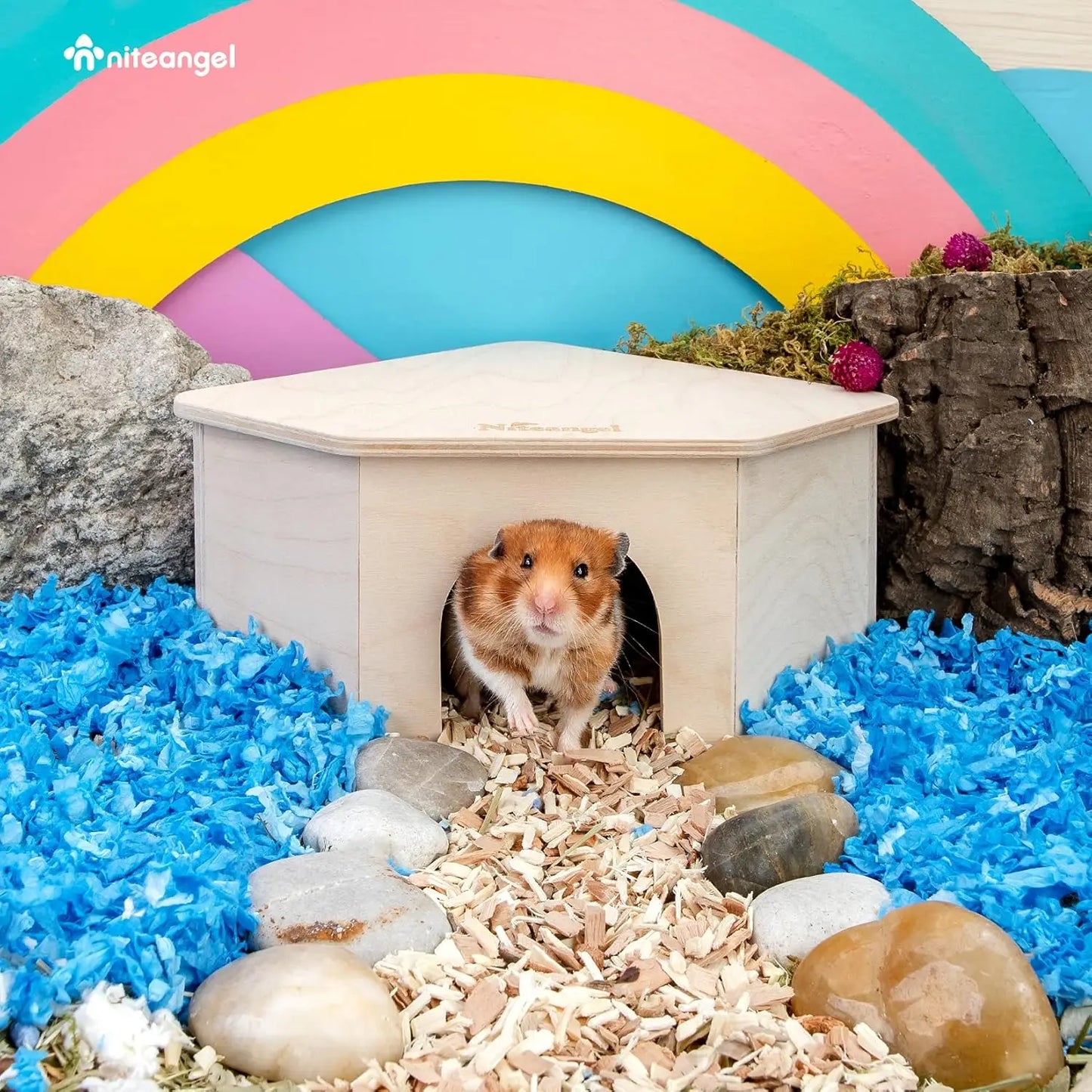 Birch Wood Hamster Hideout With Climbing Ramp For Dwarf Hamsters