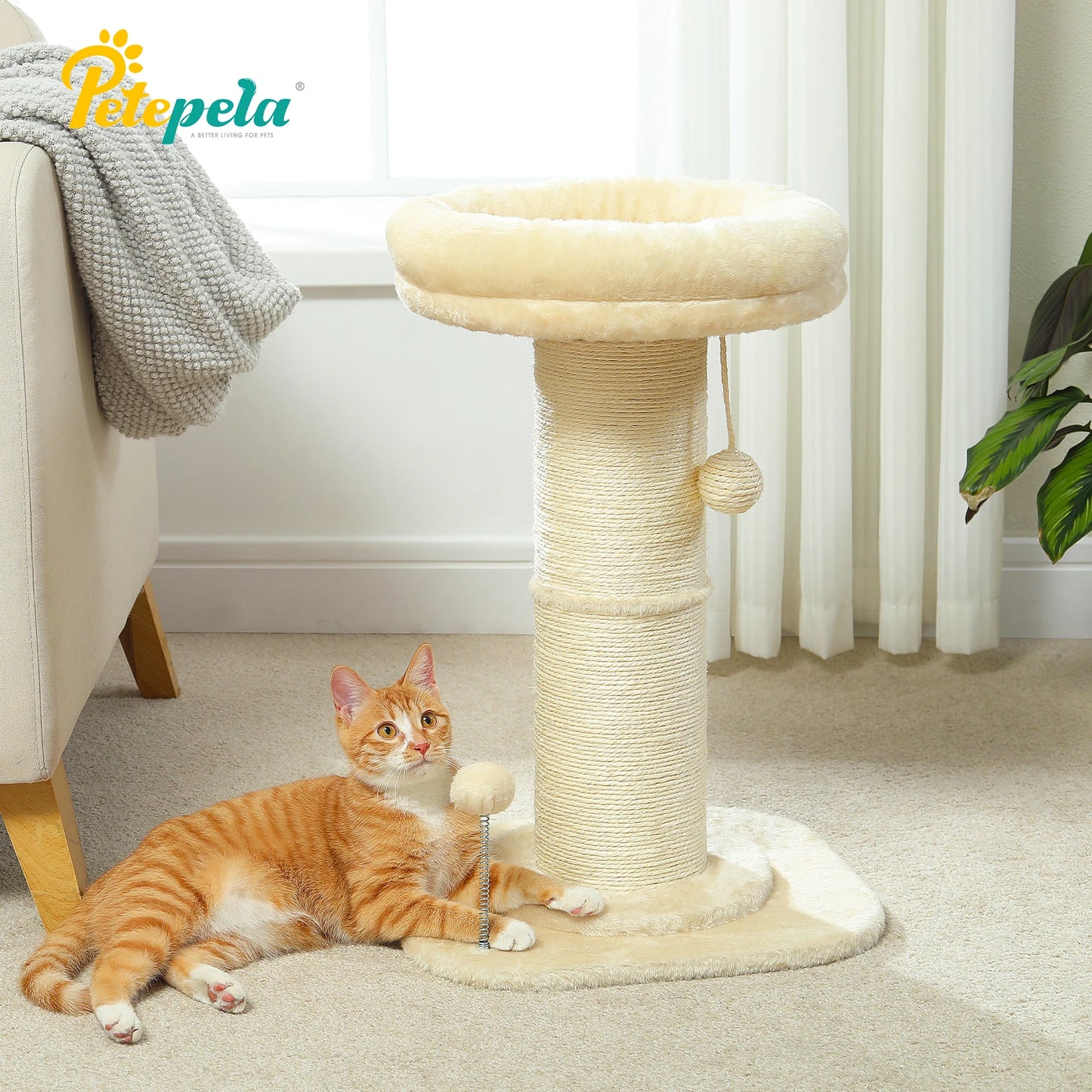 PAWZ Road Flower Cat Tree Scratching Post For Indoor Use