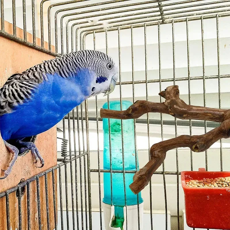 Grapewood Parrot Perch Foraging Stick Safe Chewing Toy