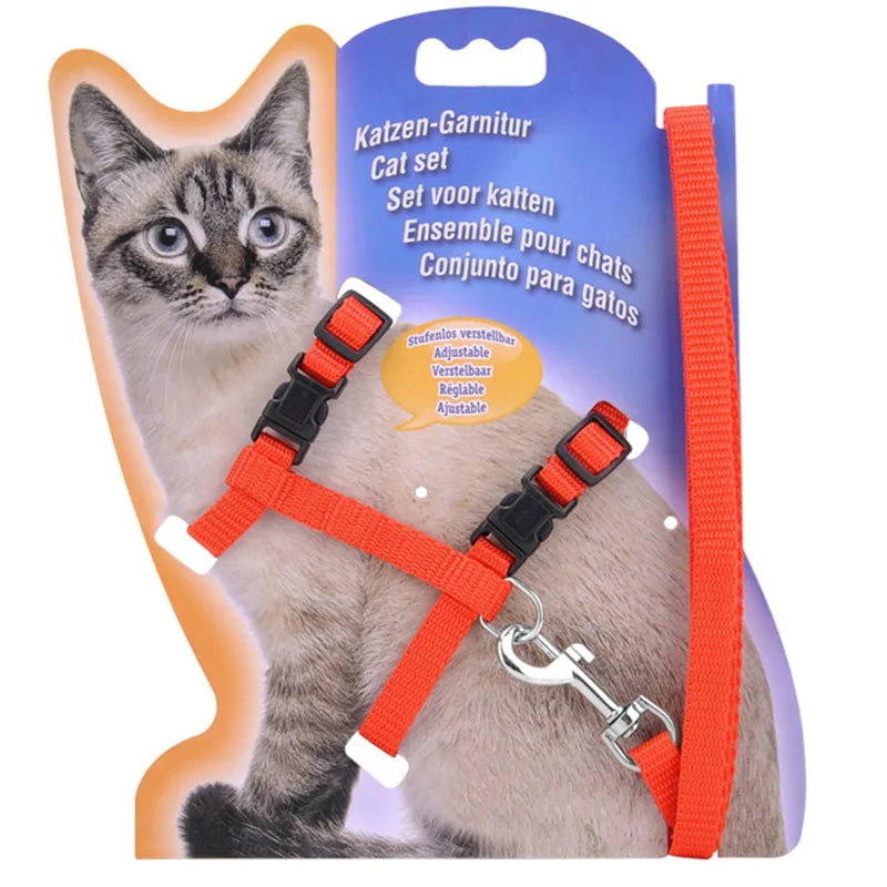 Adjustable Nylon Cat Collar And Leash Set For Cats