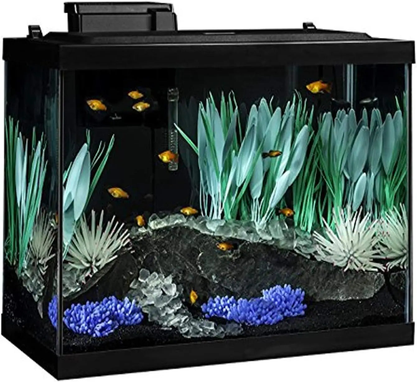 Aquarium Kit With LED Lighting And Decor Complete Tank Setup