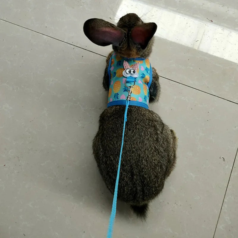 Small Animal Outdoor Walking Harness and Leash Set Cute Clothes for Puppy Kitten Pigs Bunny Chinchillas Necklace Rabbit Vest