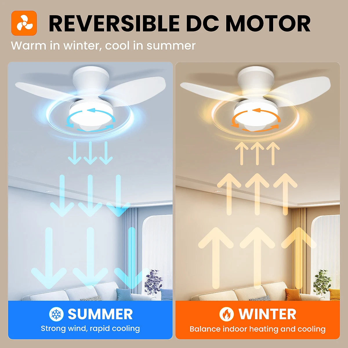 Mexllex Three Leaf Ceiling Fan With Light And Remote Control
