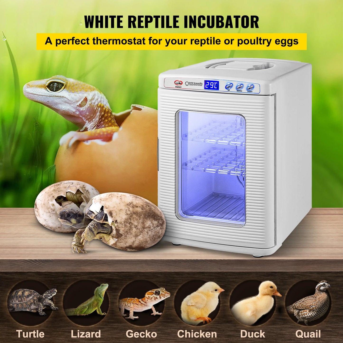 25L Reptile Incubator For Egg Breeding Hatchery And Thermostats