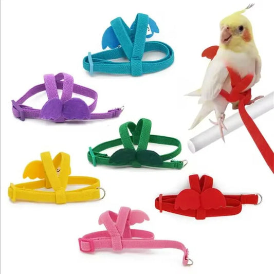 Parrot Harness And Leash Set For Birds Anti Bite Training Cockatiel