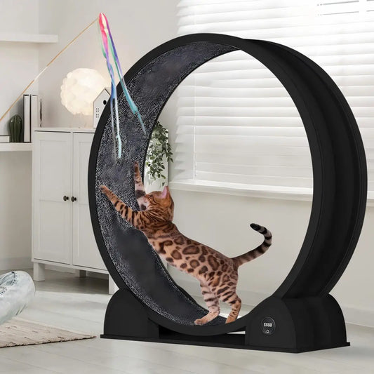 HiMISS Cat Exercise Wheel Super Quiet Running Wheel Pedometer