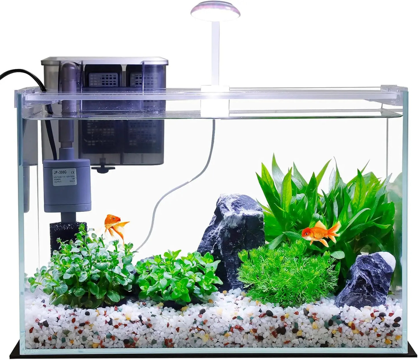 Small Glass Betta Tank Starter Kit With Filter And Light