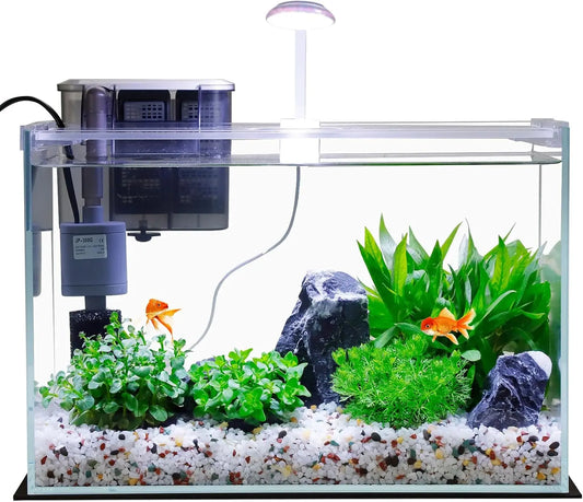 Small Glass Betta Tank Starter Kit With Filter And Light