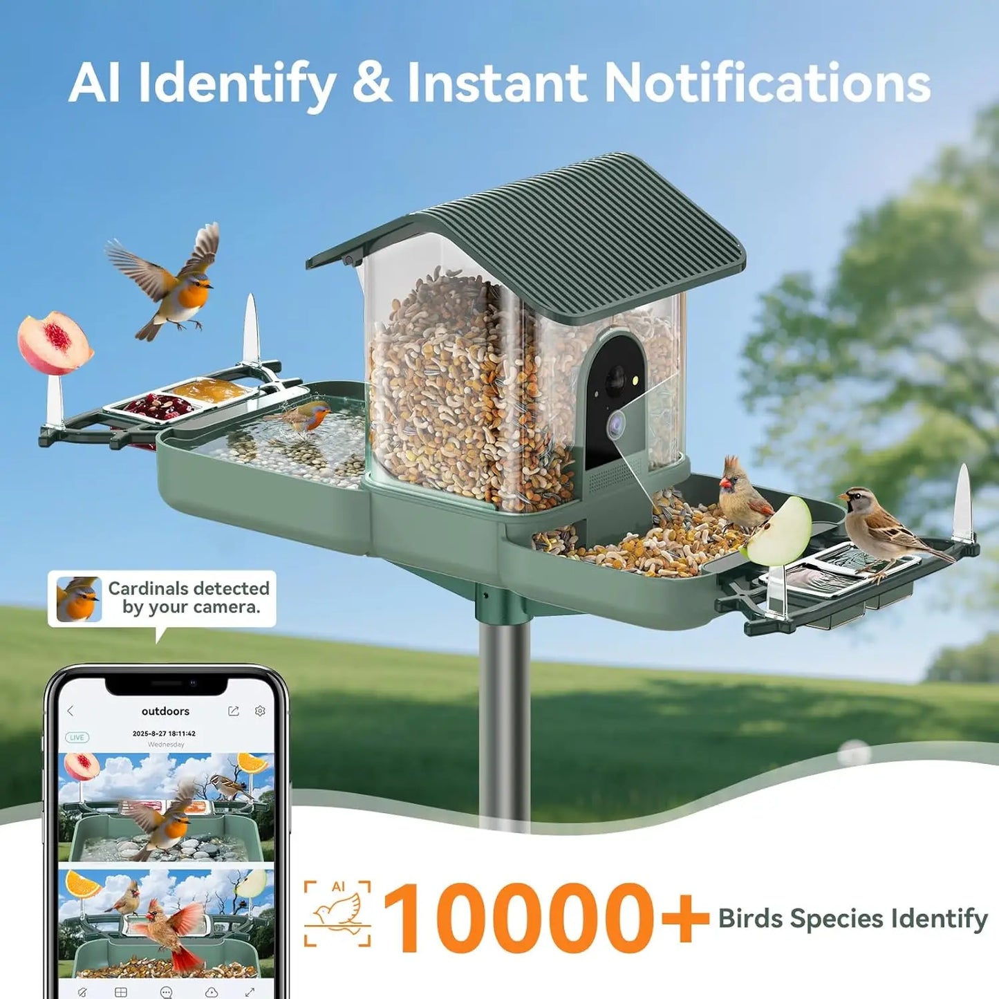 Dual-Lens Bird Feeder With Camera And Bird Bath WiFi 2K
