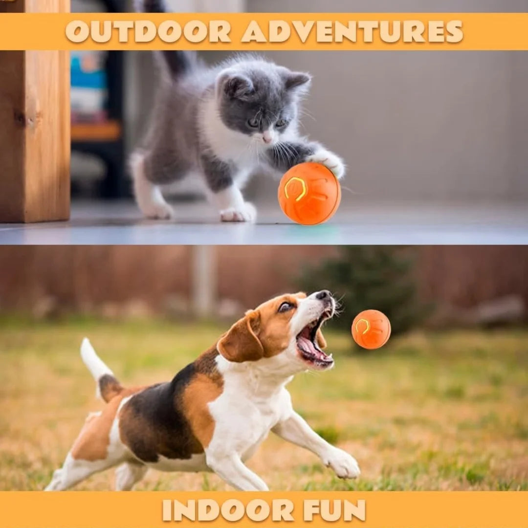 Smart Bouncing Pet Ball With Automatic Motion Toy For Cats And Dogs
