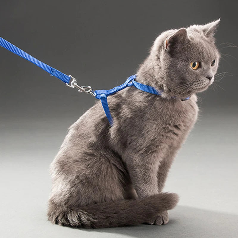 Adjustable Nylon Cat Collar And Leash Set For Cats