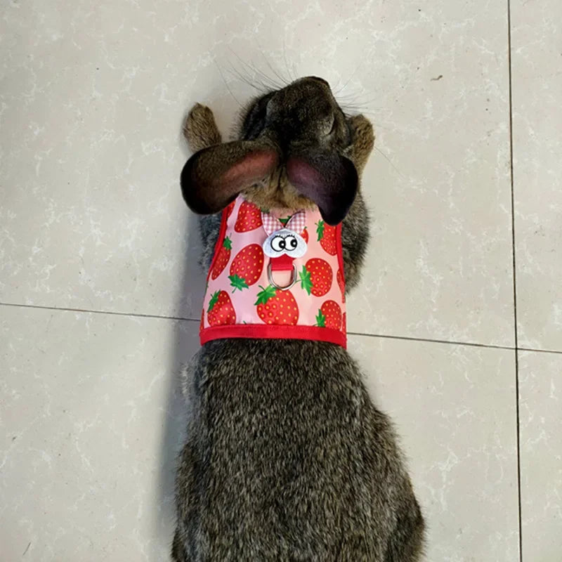 Small Animal Outdoor Walking Harness and Leash Set Cute Clothes for Puppy Kitten Pigs Bunny Chinchillas Necklace Rabbit Vest