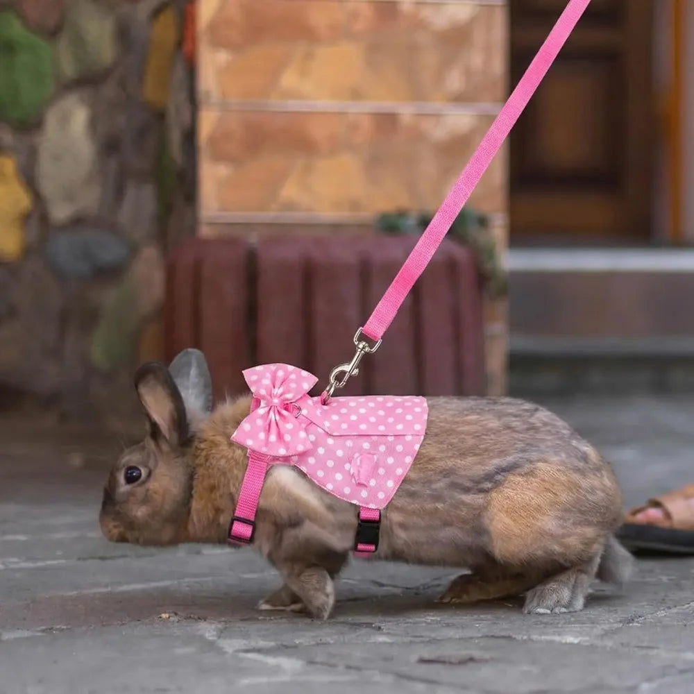 Soft Mesh Bunny Harness and Leash Set for Small Pets