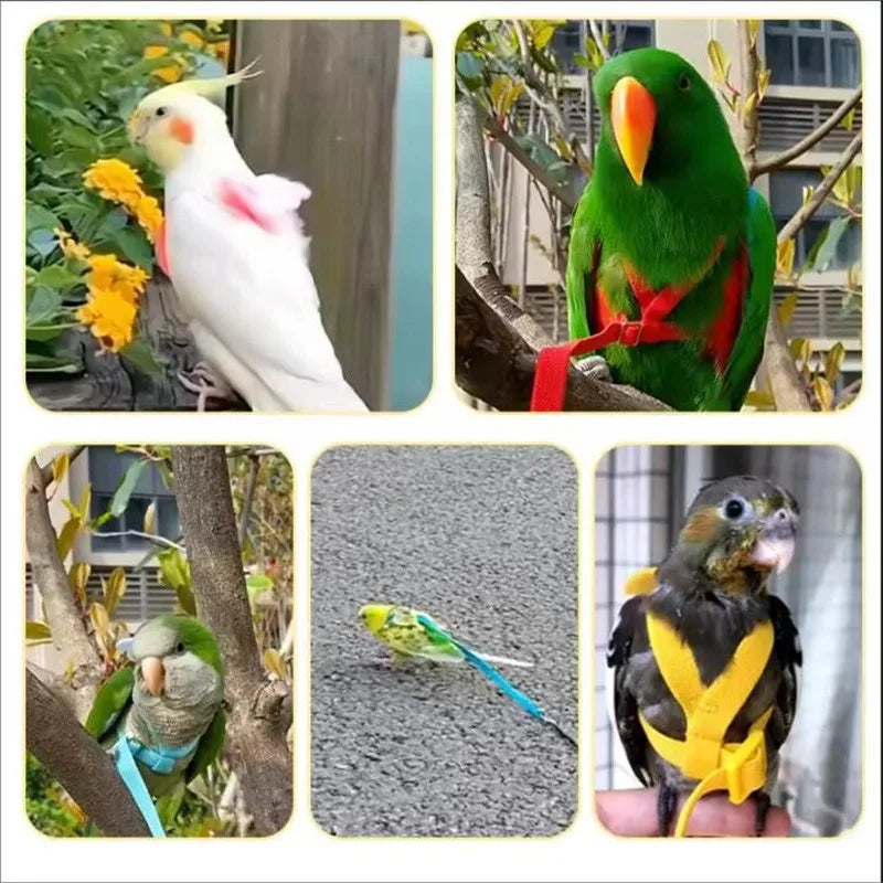 Parrot Harness And Leash Set For Birds Anti Bite Training Cockatiel