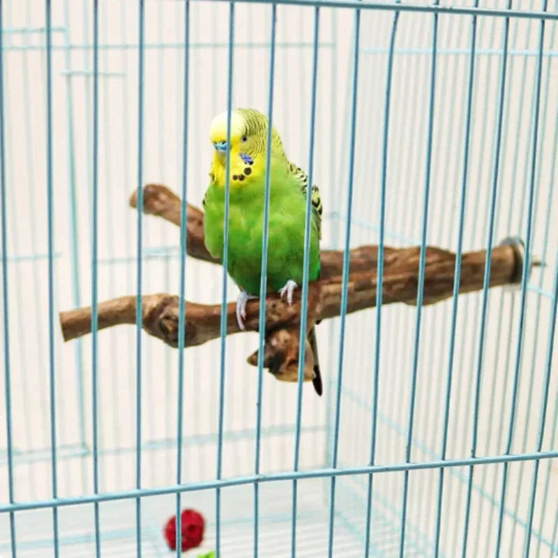 Grapewood Parrot Perch Foraging Stick Safe Chewing Toy