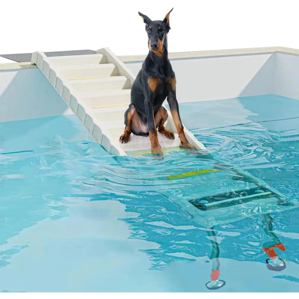 Foldable Dog Pool Ramp For Safe Water Access Easy Entry