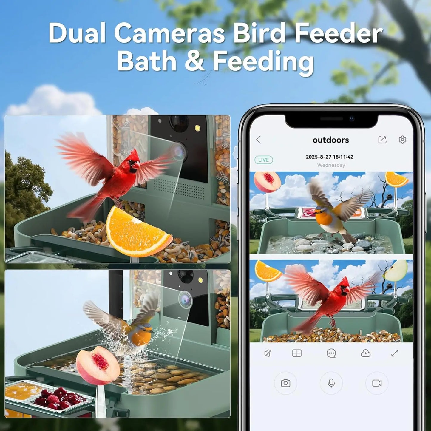 Dual-Lens Bird Feeder With Camera And Bird Bath WiFi 2K