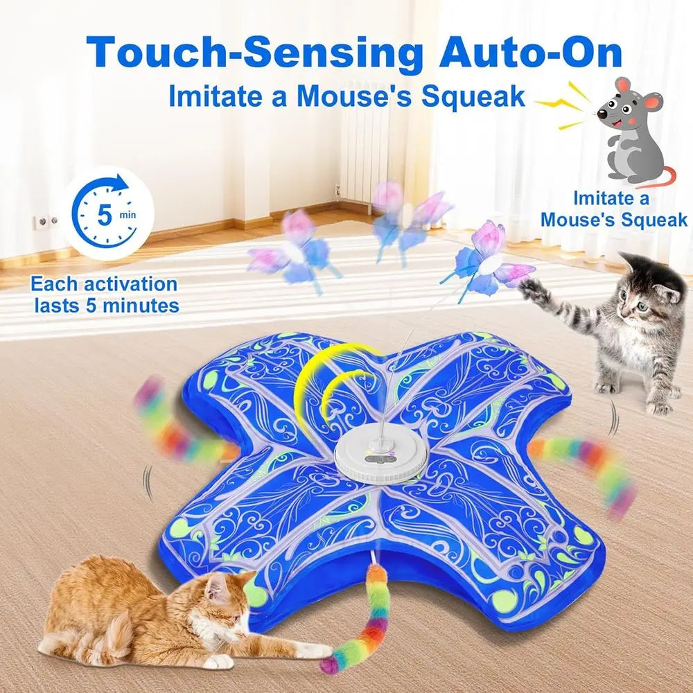 Interactive Indoor Cat Toy Rechargeable Touch And Seek Kitten Toys