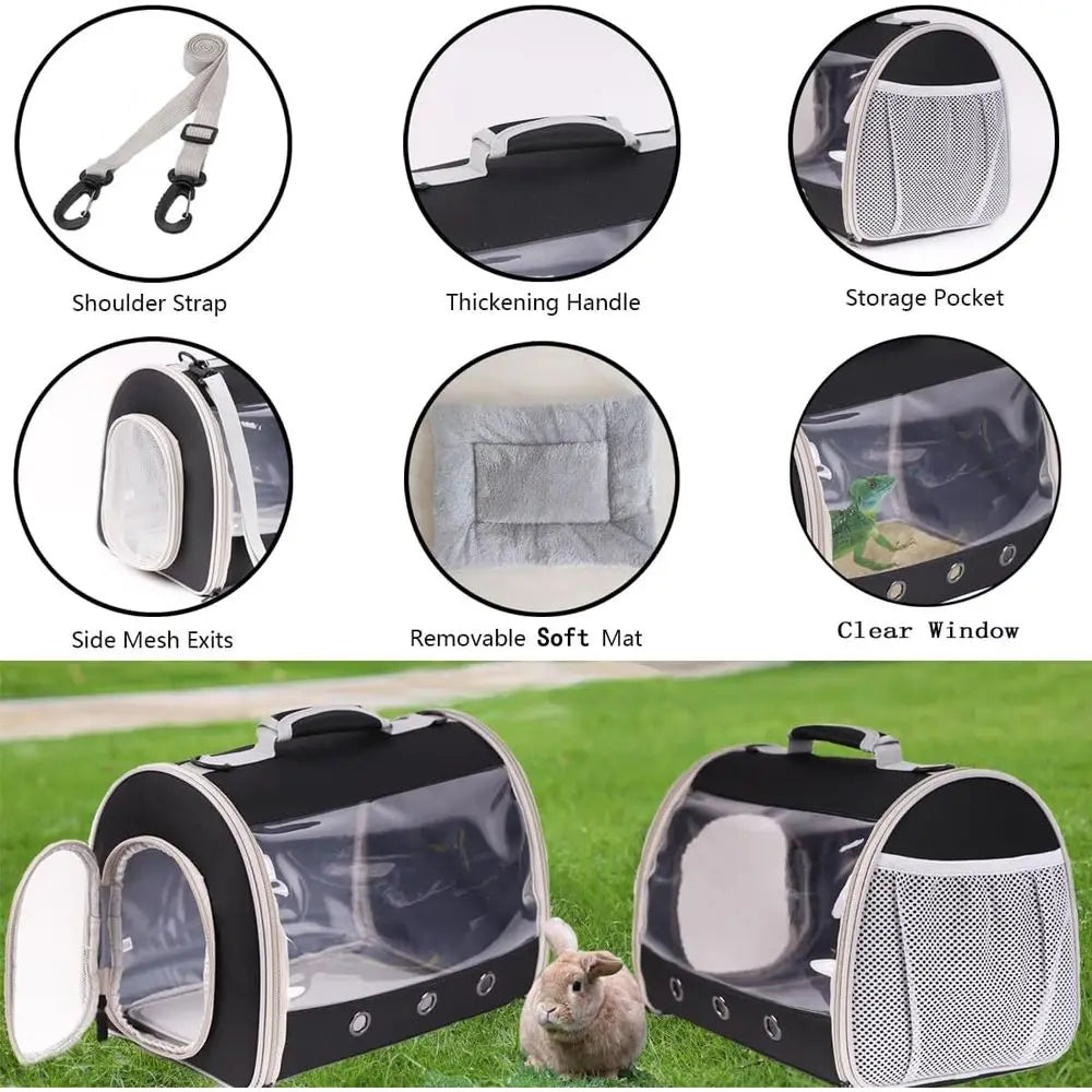 Bearded Dragon Travel Carrier Backpack Space Capsule Bubble Window