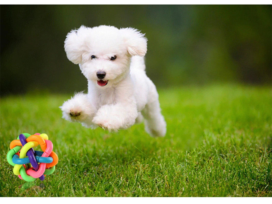 Colorful Bell Woven Dog Chew Toy Bite Resistant Rubber Ball