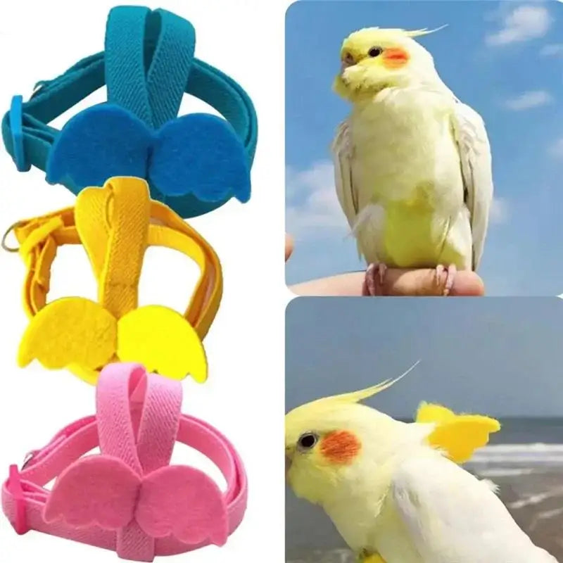 Parrot Harness And Leash Set For Birds Anti Bite Training Cockatiel