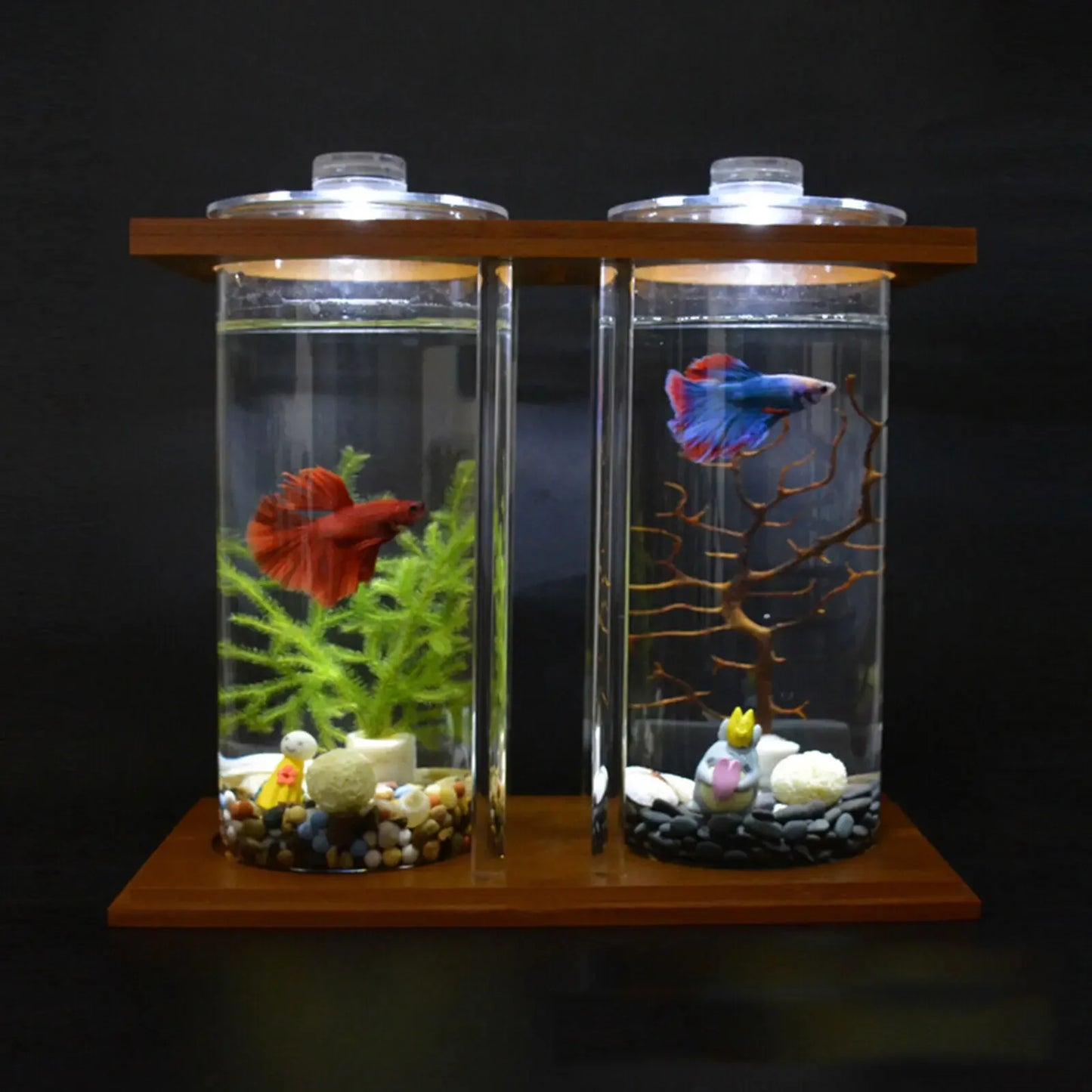 Mini Glass Betta Tank with Bamboo Base and LED Light