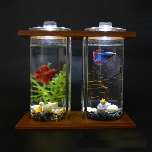 Mini Glass Betta Tank with Bamboo Base and LED Light