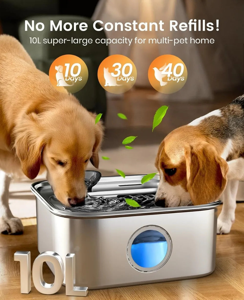 Stainless Steel Dog Water Fountain for Large Breeds Quiet Pump