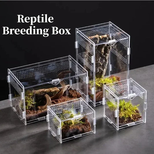 Acrylic Reptile Breeding Box Terrarium Enclosure For Spiders Bearded Dragons