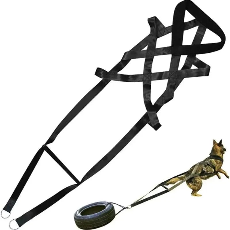 Working Dog Pull Training Leash And Sled Safety Belt