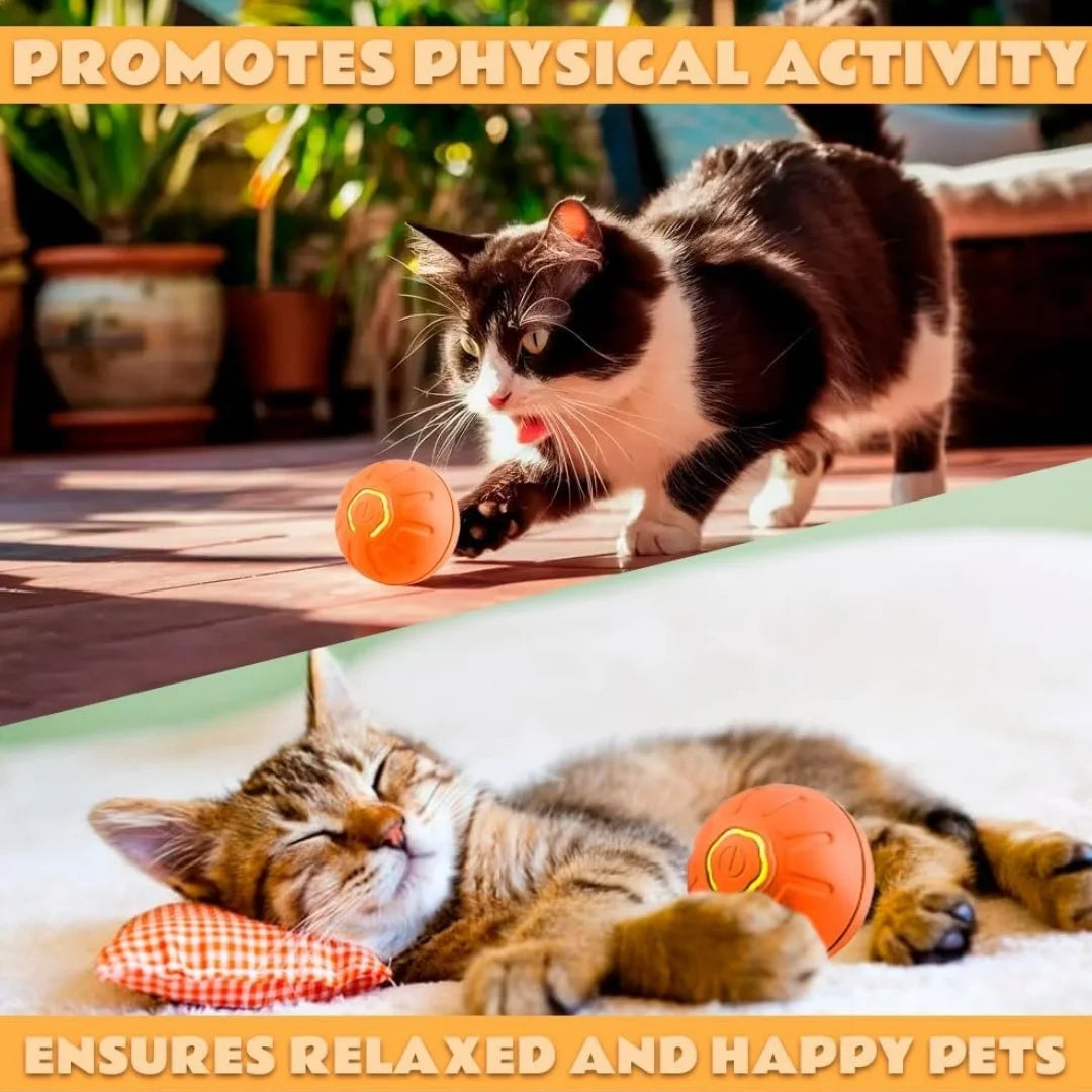 Smart Bouncing Pet Ball With Automatic Motion Toy For Cats And Dogs
