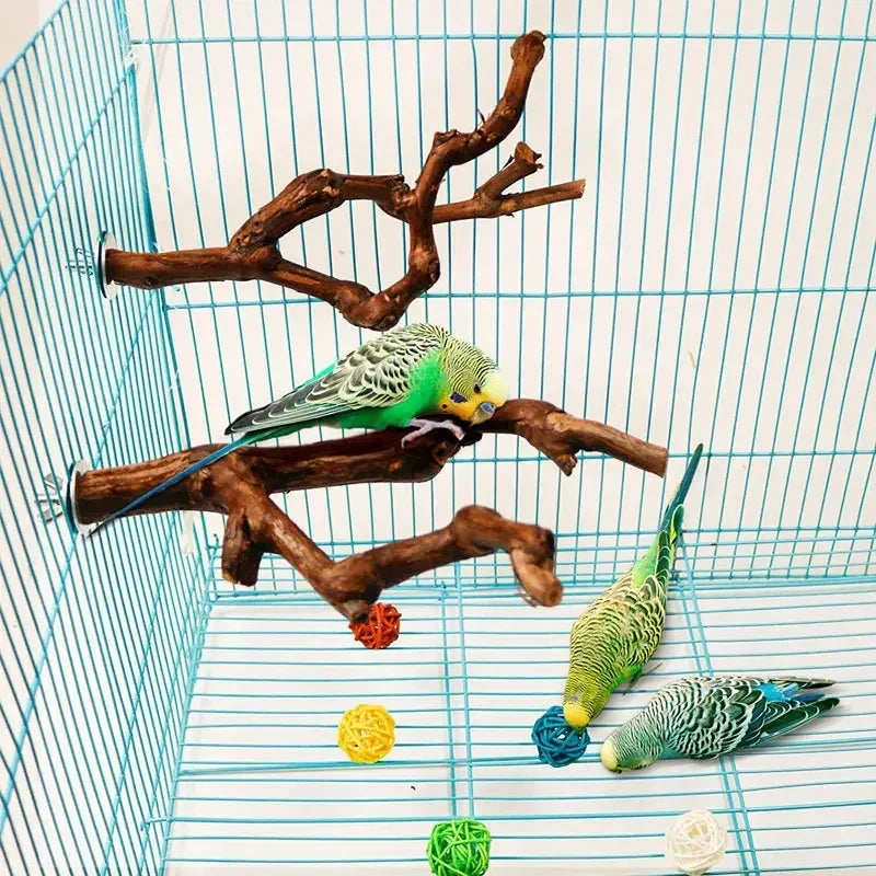 Grapewood Parrot Perch Foraging Stick Safe Chewing Toy
