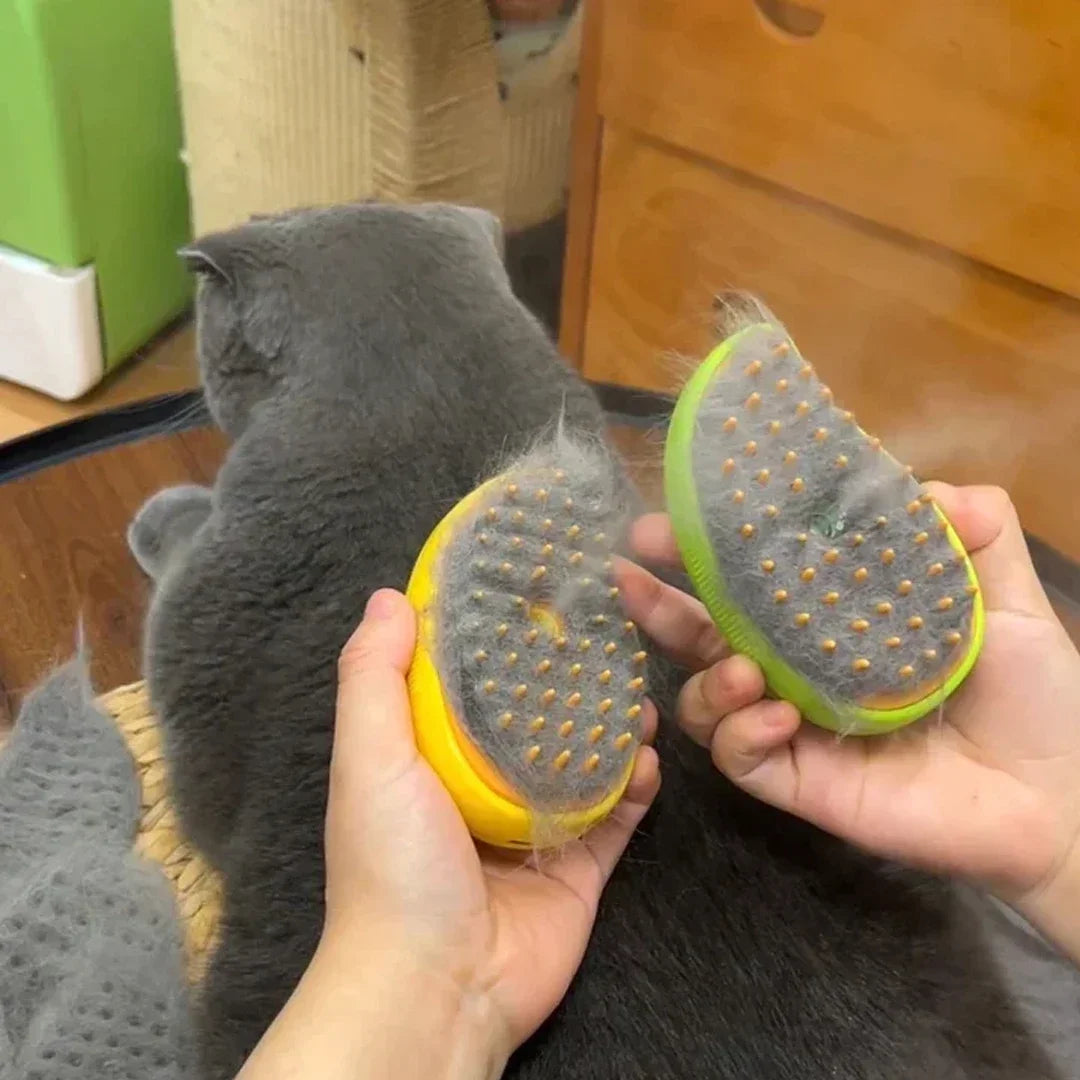 Cat Dog Steam Brush Electric Sprayer Grooming Massager