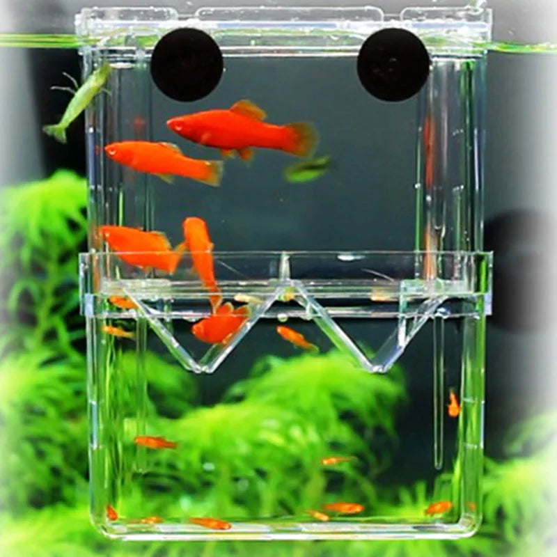 Guppy Breeding Isolation Box For Advanced Aquarium Use