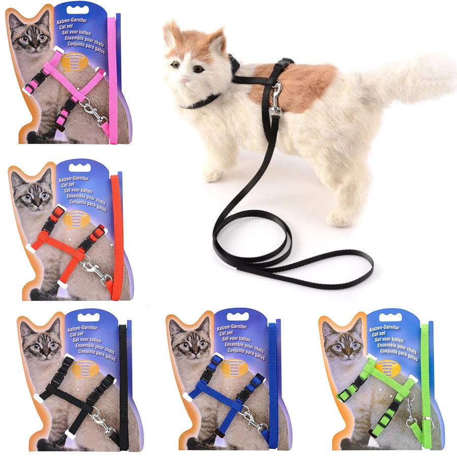 Adjustable Nylon Cat Collar And Leash Set For Cats