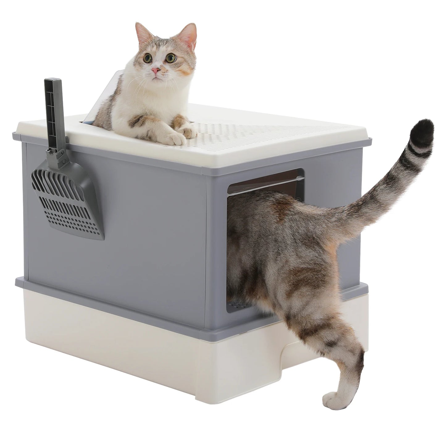 Enclosed Cat Litter Box With Scoop For Indoor Use