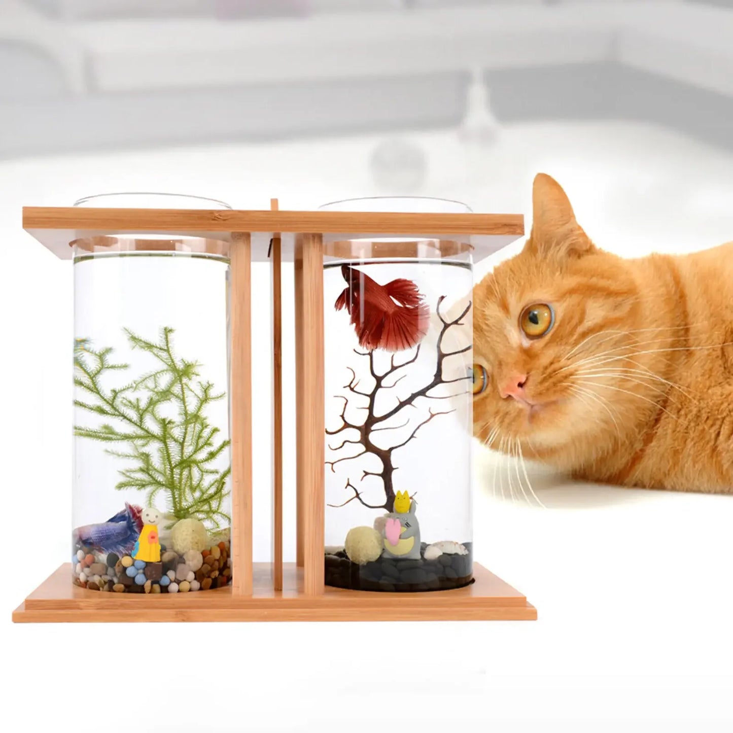 Mini Glass Betta Tank with Bamboo Base and LED Light