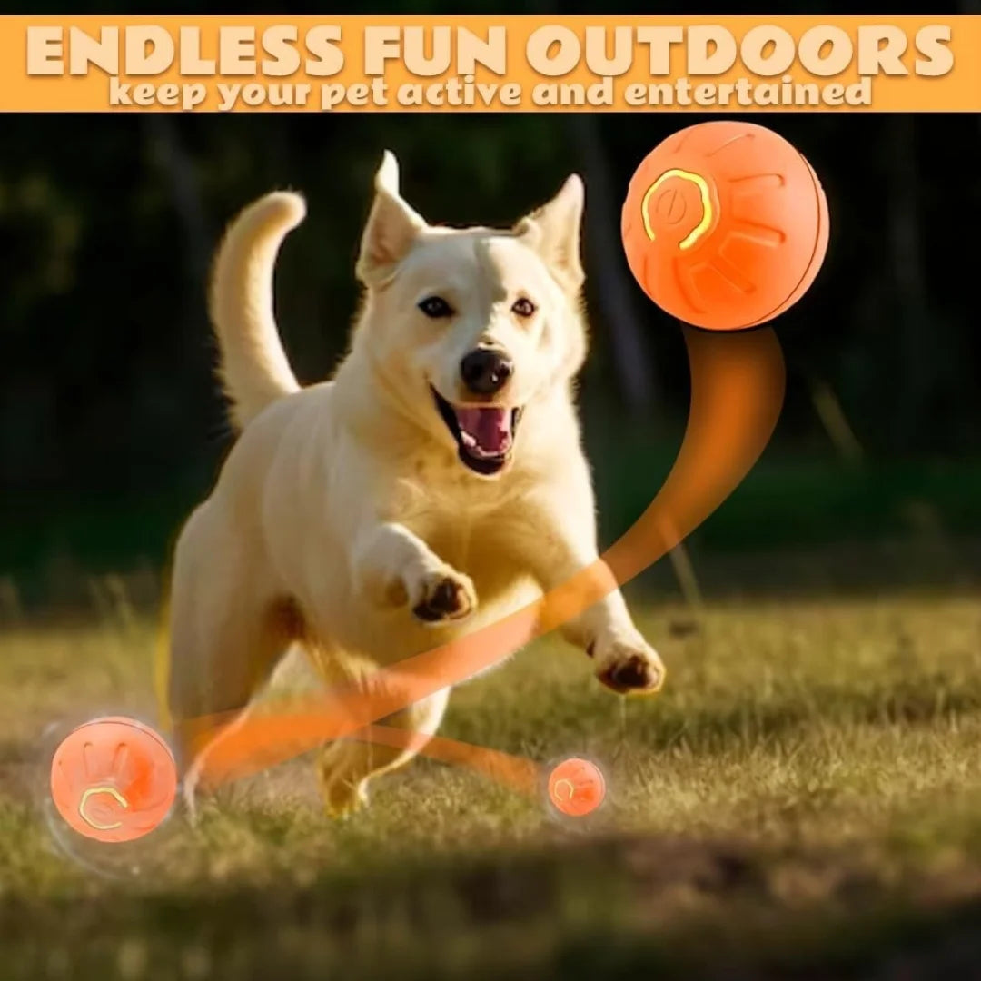 Smart Bouncing Pet Ball With Automatic Motion Toy For Cats And Dogs