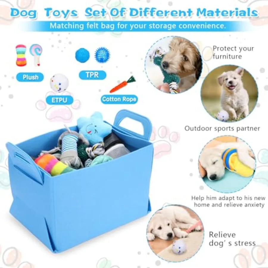 65 Piece Puppy Supplies Starter Kit With Leash Toys Bowls