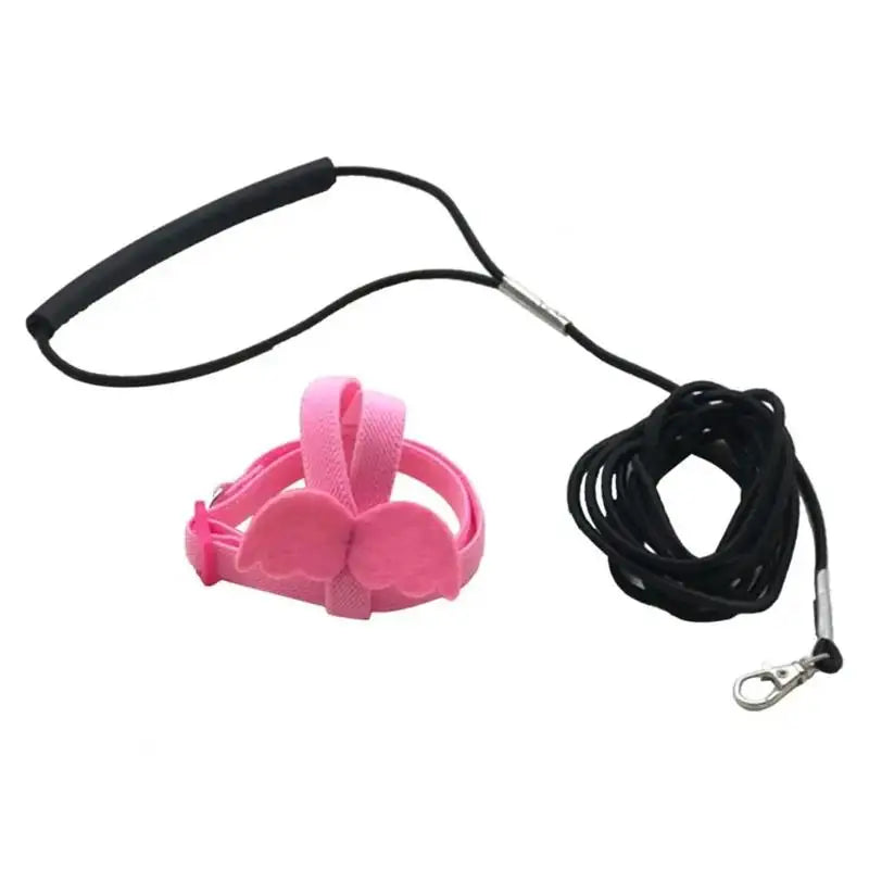 Parrot Harness And Leash Set For Birds Anti Bite Training Cockatiel