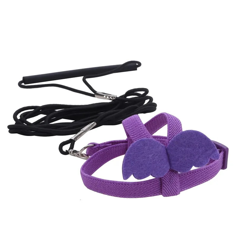 Parrot Harness And Leash Set For Birds Anti Bite Training Cockatiel
