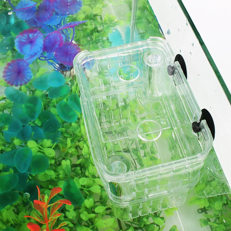 Guppy Breeding Isolation Box For Advanced Aquarium Use