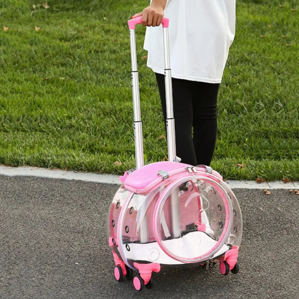 Travel Pet Carrier Backpack for Cats and Dogs